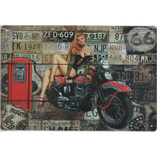 Motorcykel (20x30 cm)