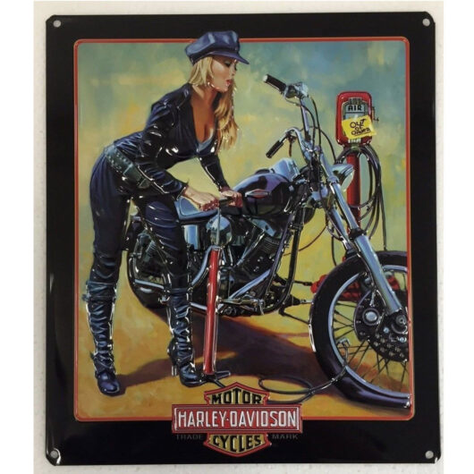 Harley Davidson (33x38 cm)