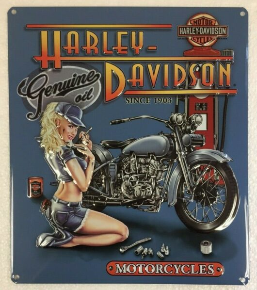 Harley Davidson (33x38 cm)