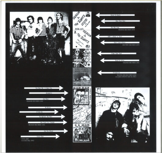 LP gg allin & the jabbers 1980's rock n roll (Färgad vinyl) - Bild 3