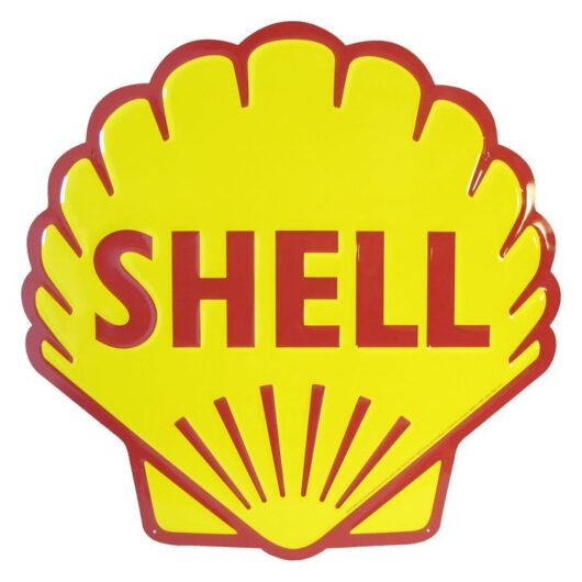 Shell (Diameter ca 60 cm)