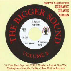 CD The Bigger Sound Vol.2