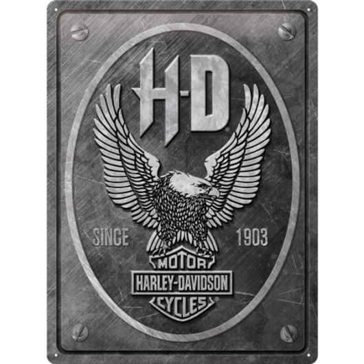 Harley-Davidson ( 30x40 cm)
