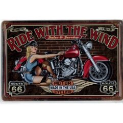 Ride With The Wind (20x30cm)