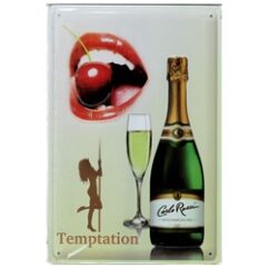 Tempatation (20x30cm)